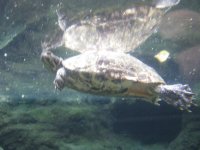 IMG_4149.JPG